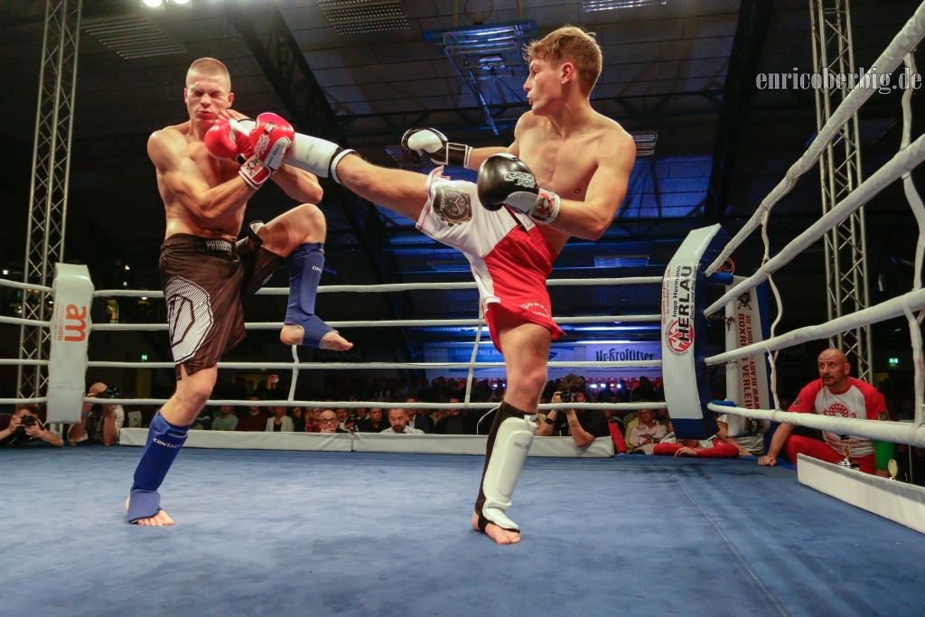 4. Dessauer Boxnacht